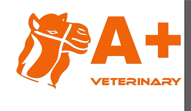 aplusveterinary
